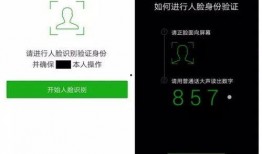 最新通行证爆料消息查询